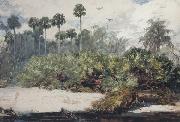Winslow Homer In a Florida Jungle (mk44) USA oil painting artist